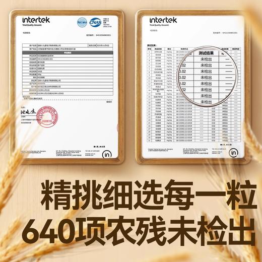 秋田满满有机胚芽米300g 商品图1