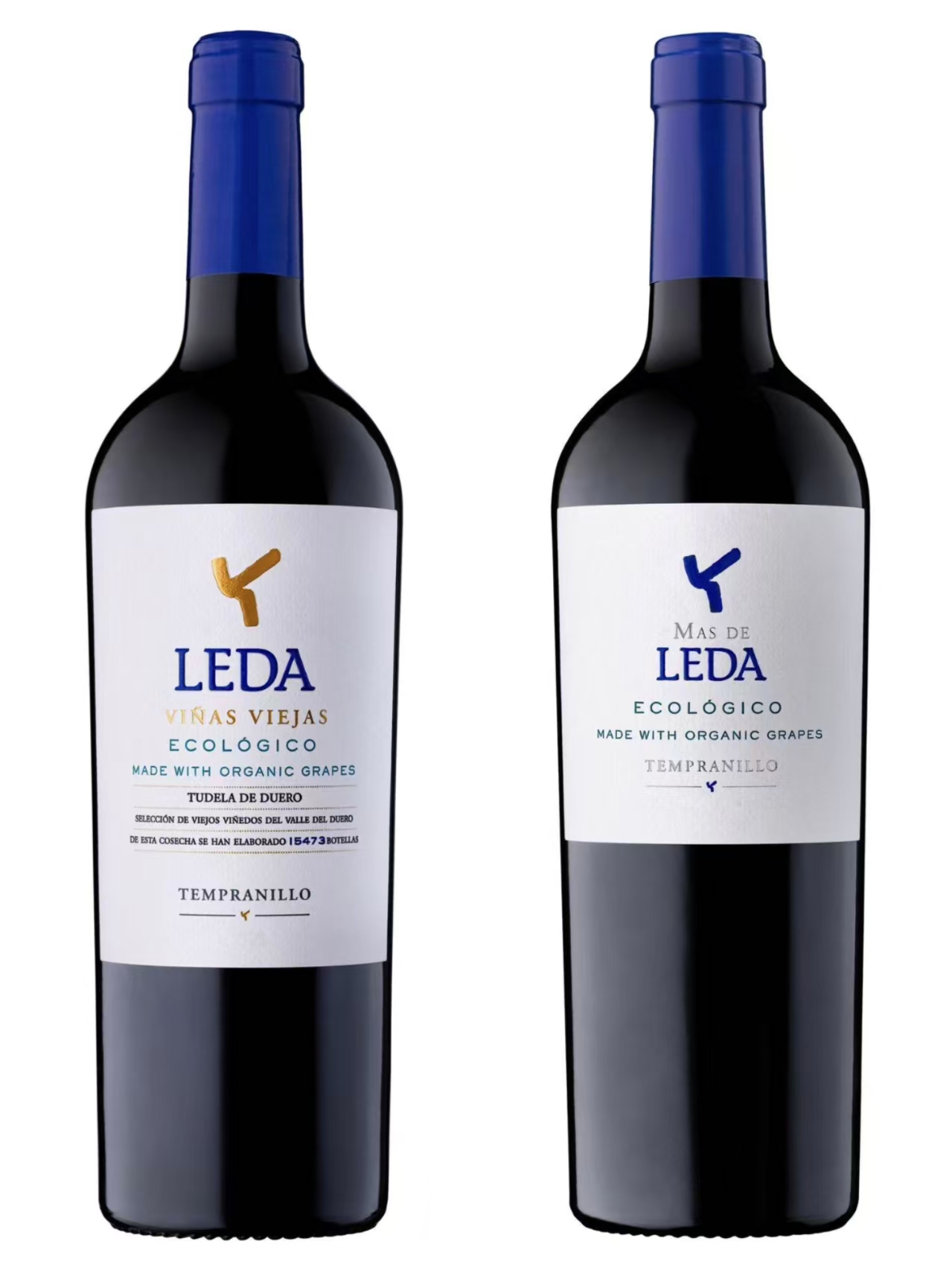 第290期丨西班牙酒王酿酒师后花园乐达酒庄老藤丹魄