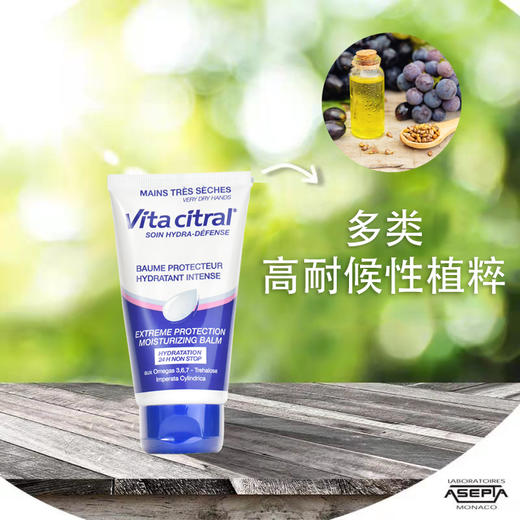 维德勒葡萄籽油保湿护手霜75mL 3323034518998 商品图4