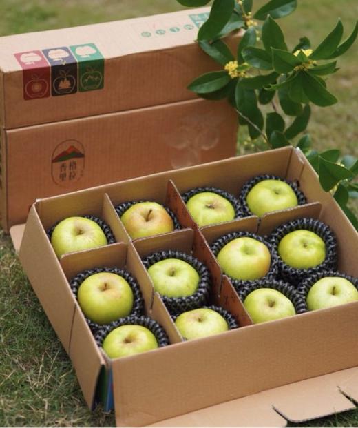 真正的哈巴庄园王林苹果 富士苹果   有机天然 无渣 九分甜  |百里食 商品图6