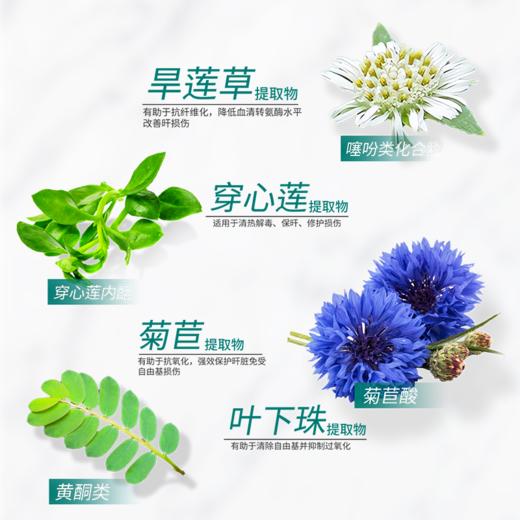 【超模君严选】Himalaya喜马拉雅GNX护肝片60片 商品图6