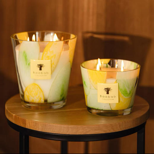 Baobab比利时进口香氛蜡烛小众高级感礼物香薰1100g 商品图2