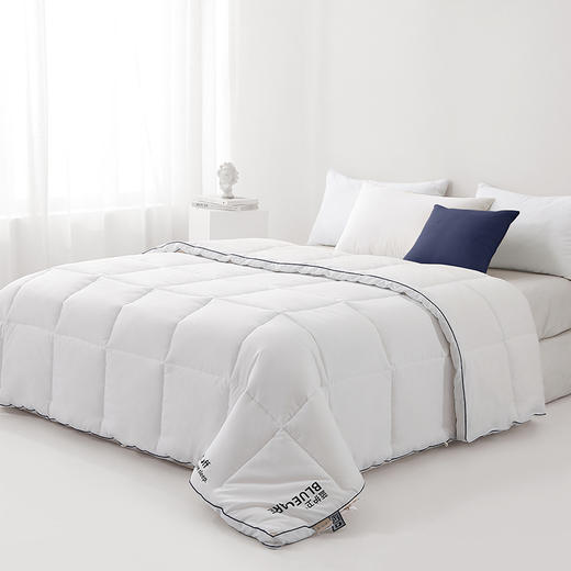 【商超爆款】丝享蓝护卫碘抗菌二合一功能被 蓝色 商品图1