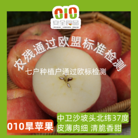 010宁夏中卫沙坡头旱苹果 红富士  沙漠的珍宝 皮薄肉脆 酸甜适中 