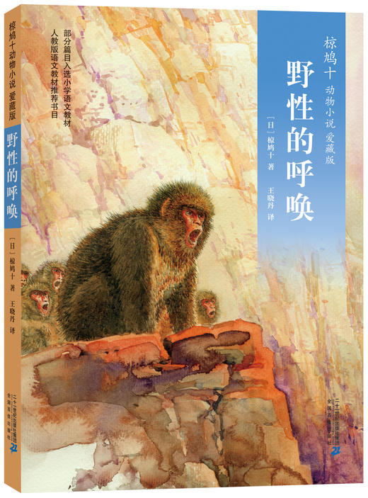 椋鸠十系列(深谷里的羚羊+野兽岛+野性的呼唤+野鸭的友情)4册 商品图3