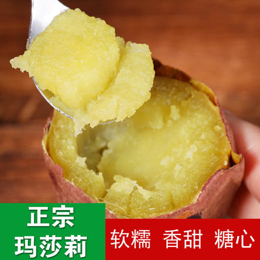 【玛莎莉黄金蜜薯】个大饱满 软糯香甜 味甜鲜美 商品图2