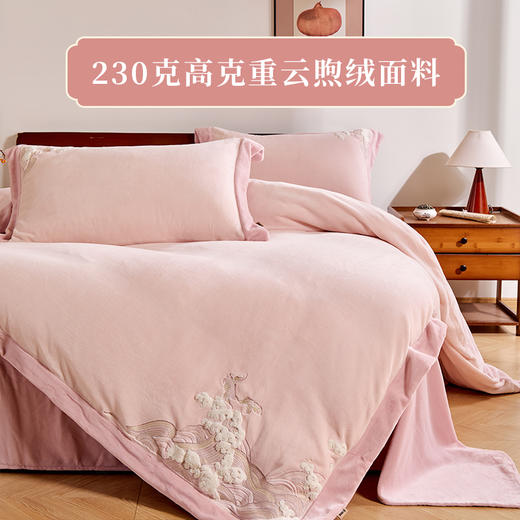 多喜爱 山海经230g云煦绒四件套 山海闻汐/竹叶文鳐/银杏夫诸 hl【高克重暖暖绒】【国风刺绣】【一触即暖】【抗静电】【不易掉毛】细腻绒毛 暖而不闷 织带工艺  可水洗机洗 双面设计 商品图8