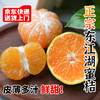 【京东直发】正宗东江湖蜜桔新鲜桔子 口感香甜 爽口多汁 商品缩略图0