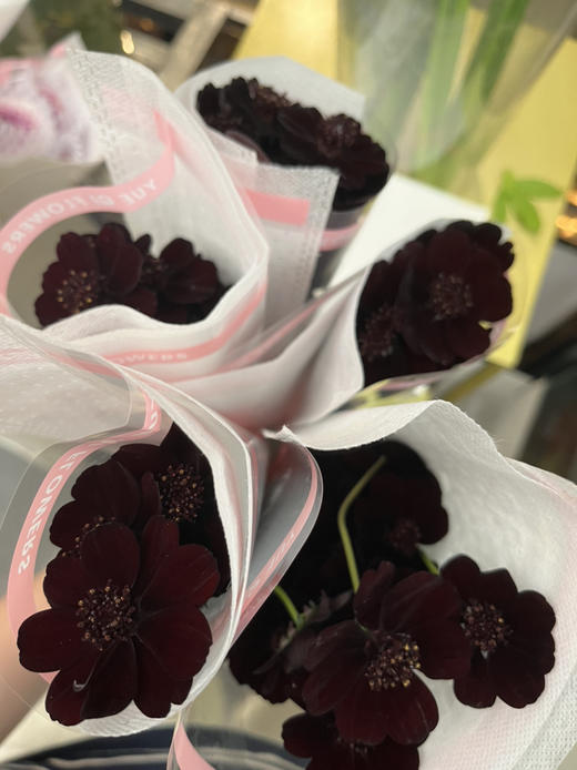 国产花材-【巧克力秋英】 商品图3