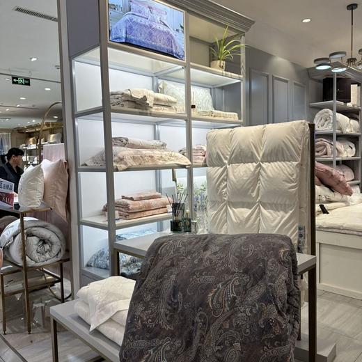 预售 10 天【Charles Millen】CM加拿大进口大白鹅加厚冬被/CM加拿大进口4Dbox白鹅绒枕 商品图3