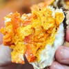 【大规格活蟹  4两母*4只+5两公*4只 】新孟河大闸蟹4两母蟹*4只+5两公蟹*4只 现货礼盒  出口标准大闸蟹    蟹黄饱满   蟹膏丰盈 商品缩略图3