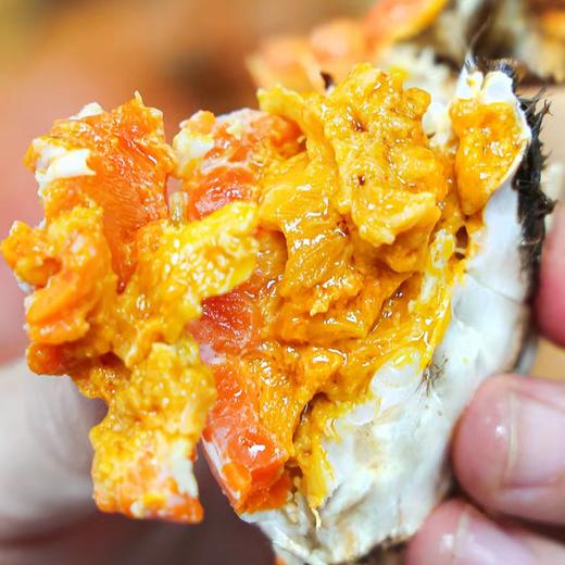 【大规格活蟹  4两母*4只+5两公*4只 】新孟河大闸蟹4两母蟹*4只+5两公蟹*4只 现货礼盒  出口标准大闸蟹    蟹黄饱满   蟹膏丰盈 商品图3