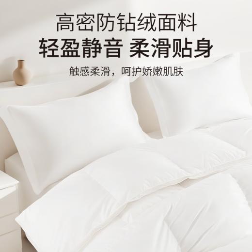 【专享】笙观相沐鹅绒被 95%绒子含量 大朵白鹅绒填充 高蓬饱满 轻盈保暖 商品图6