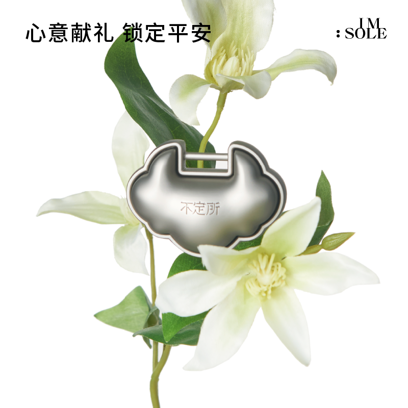 IMSOLE不定所平安锁车载香薰扩香器