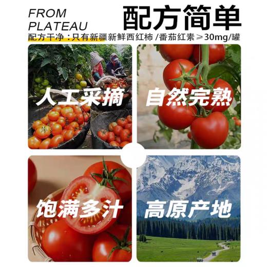 25年新疆番茄块西红柿块丁 去皮番茄丁 商品图3