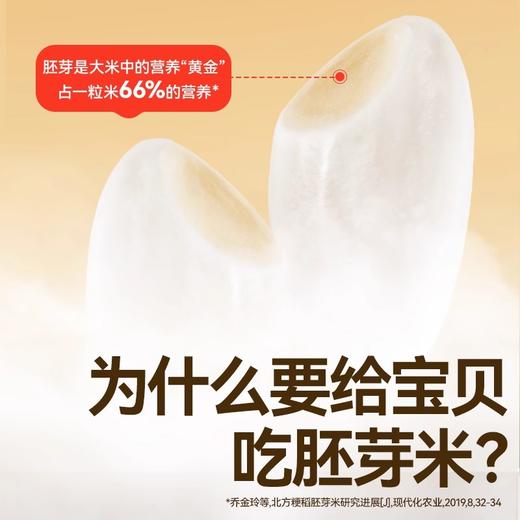 秋田满满有机胚芽米300g 商品图3