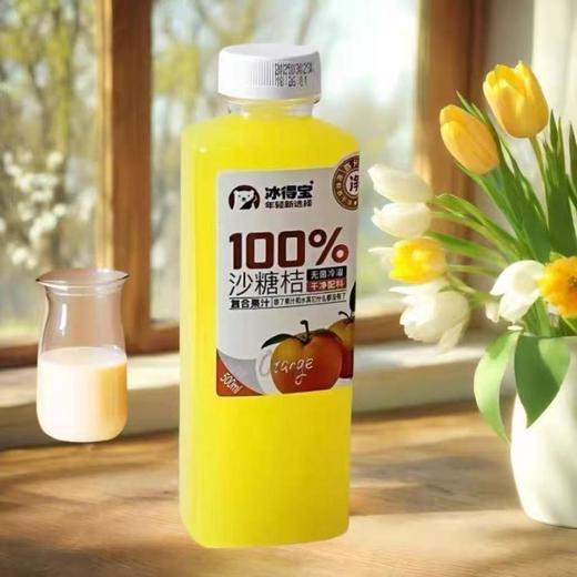 冰得宝砂糖桔复合果汁500ml-22224866 商品图0