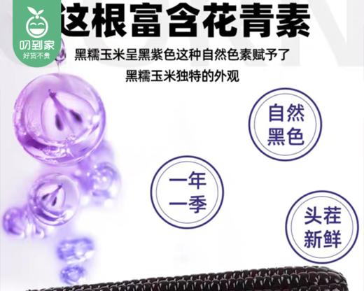 e人煮黍甜黑糯鲜玉米/1袋（220g*8支）生产日期：25年9月 商品图3