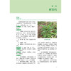 广西常见中草药 秦华珍 覃骊兰 主编 本书以广西道地药材 特产药材为重点 突出其临床应用的特点 9787117383493 人民卫生出版社 商品缩略图4