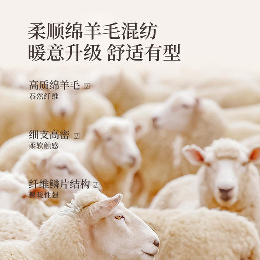 【10/15新品】熙世界格雷老钱风毛呢西装外套女秋冬2025年新款休闲通勤羊毛大衣 商品图2