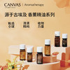 保税直发 CANVAS 卡芬诗  幸福愉悦复方香薰精油 12mL 商品缩略图5