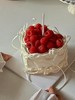 树莓主题蛋糕季节限定（详情页多款可选） 商品缩略图7