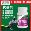 汉诺威优感抗信鸽用品赛鸽子单眼伤风呼吸道眼睛流泪赛鸽保健 商品缩略图0
