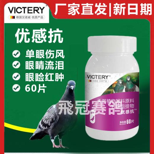 汉诺威优感抗信鸽用品赛鸽子单眼伤风呼吸道眼睛流泪赛鸽保健 商品图0