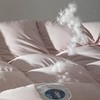 【商超爆款】丝享95%防滑蓄热西伯利亚银雪鹅绒冬被 商品缩略图1