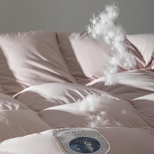 【商超爆款】丝享95%防滑蓄热西伯利亚银雪鹅绒冬被 商品图1