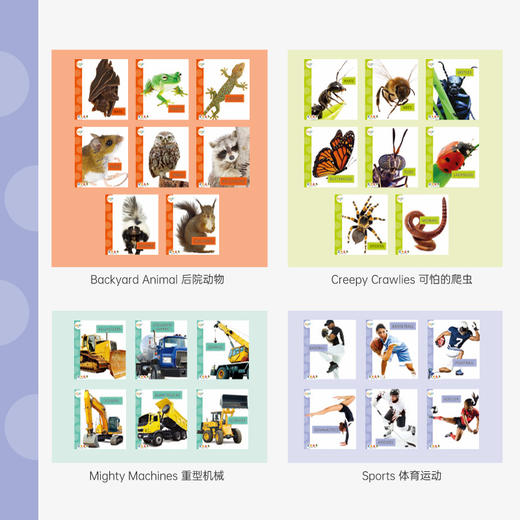 【盖世童书】斑点狗Spot科普绘本（28册）2024版平装 商品图4