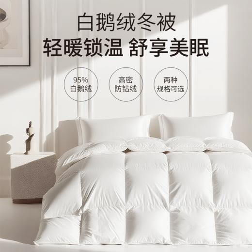 【专享】笙观相沐鹅绒被 95%绒子含量 大朵白鹅绒填充 高蓬饱满 轻盈保暖 商品图0