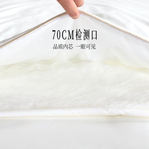多喜爱 神州丝韵纯桑蚕丝被系列/春秋被/冬被/子母被hl（麒麟）【100%桑蚕丝】【中长丝】【60S全棉贡缎】70cm检测口 *赠可拆卸被头 多款厚度可选 品质包装 商品图3