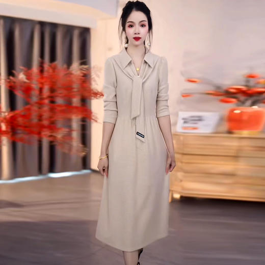 QYM 25PB50-Y时尚连衣裙气质收腰中长款洋气厚款裙 商品图1