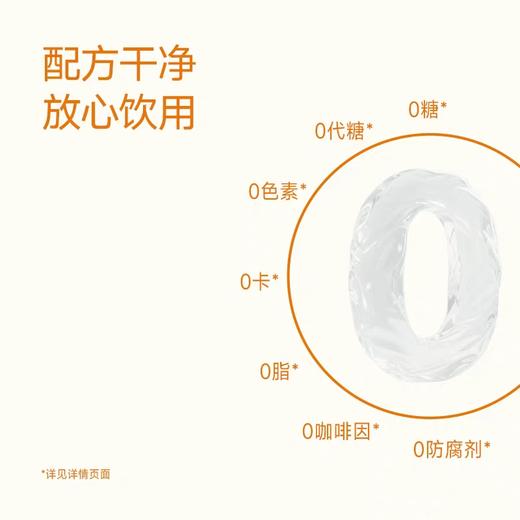 晓田颜吉红枣枸杞桂圆水350ml 商品图2