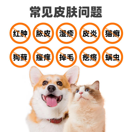 宠物不锈钢碗 猫碗狗盆 多尺寸 喂食饮水食具日用品批发 商品图5