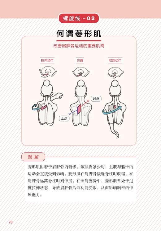 肌筋膜运动训练 商品图5