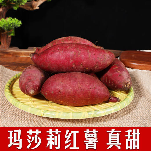 【玛莎莉黄金蜜薯】个大饱满 软糯香甜 味甜鲜美 商品图1