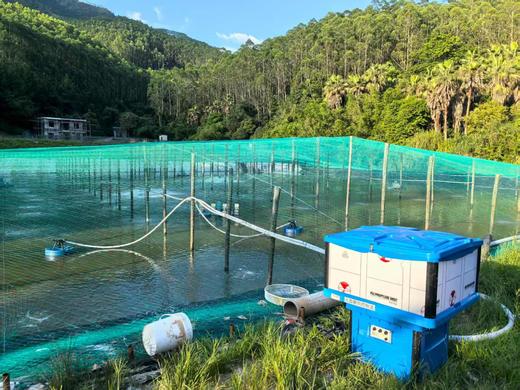 鱼大大智能对虾360度风送投料机预售 商品图0