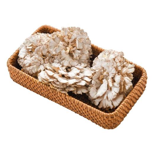 白参菌 约120g/盒 商品图2