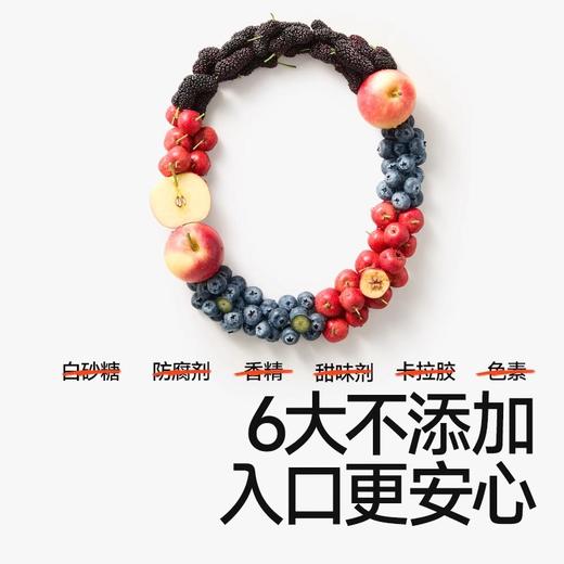 秋田满满果条类 商品图1