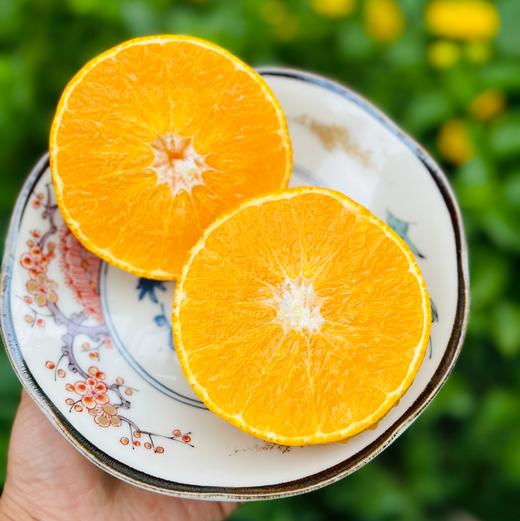 红美人柑橘|今年的首批红美人上市啦👏皮薄肉嫩，清香又清甜，果冻般的口感，第一批就有这样的口感很不错啦~ 商品图1