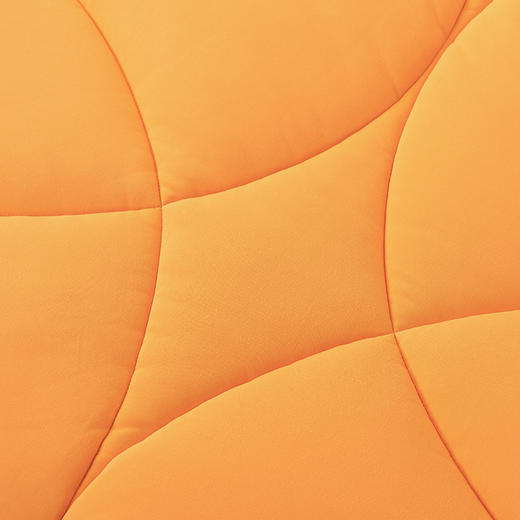 【商超爆款】丝享全效注热玉米肉肉极热被：小辣椒 被芯 商品图2