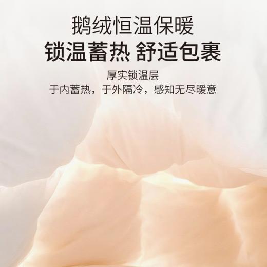 【专享】笙观相沐鹅绒被 95%绒子含量 大朵白鹅绒填充 高蓬饱满 轻盈保暖 商品图3