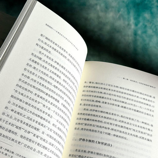 美的回归 后理论时代中西文论中的文学与审美 张蕴贤 商品图10
