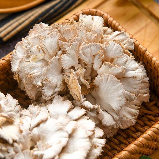 白参菌 约120g/盒 商品图4