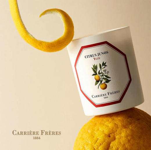 CARRIERE FRERES法国植物学家CF香薰蜡烛室内香氛生日礼物185g 商品图0