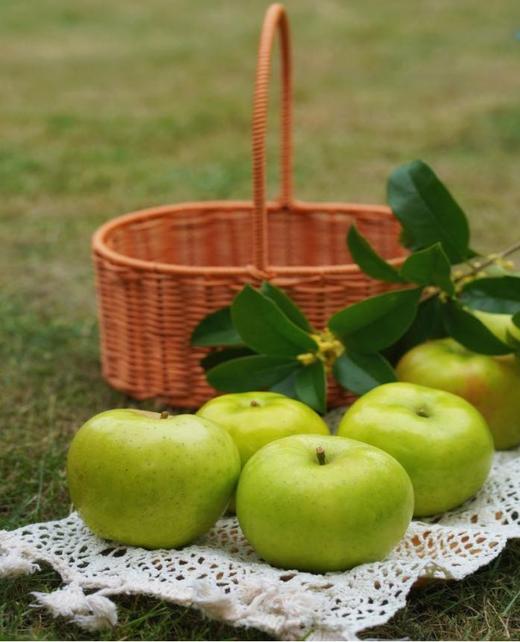 真正的哈巴庄园王林苹果 富士苹果   有机天然 无渣 九分甜  |百里食 商品图4