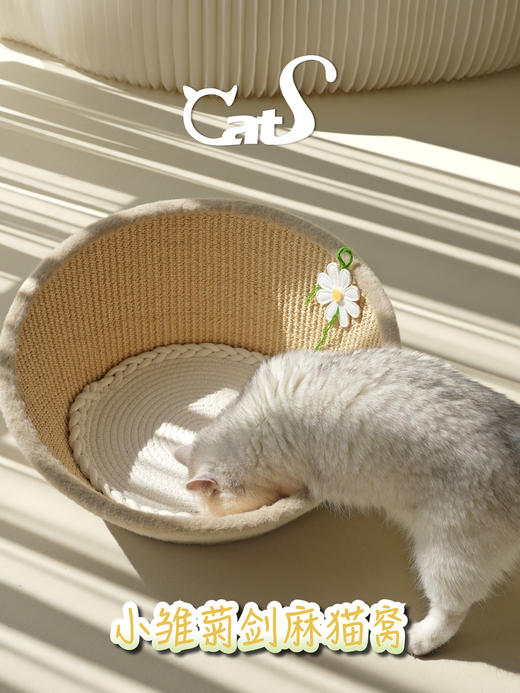 CatS猫家具 雏菊剑麻猫窝 可抓可躺超可爱 商品图3