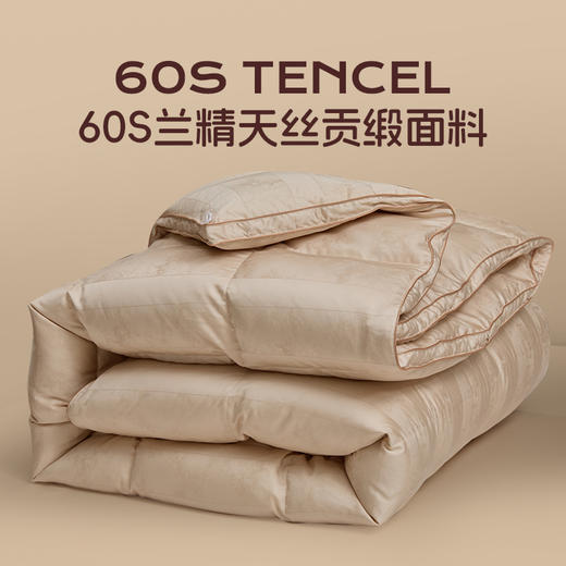 多喜爱 金羽朵95进口白鹅绒冬被/白鹅绒桑蚕丝子母被 -鎏光暖域/栖金枕月hl【95%绒子含量】【1000+清洁度】【波兰进口】【60S兰精天丝】【贡缎面料】银丝提花工艺 3D航空舱  10CM开口 商品图2